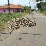 Img 20250728 125628