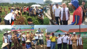 1 20251007 112022 0000