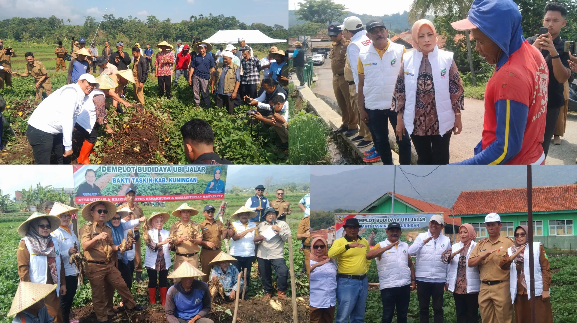 1 20251007 112022 0000