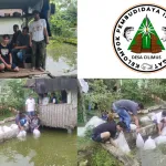 1 20251119 155331 0000