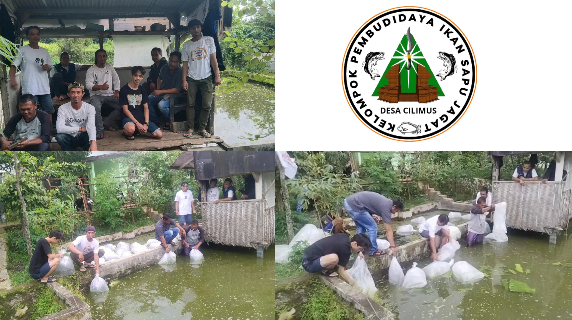 1 20251119 155331 0000