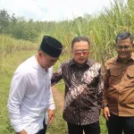 Bupati Kuningan Tinjau Lahan Untuk Sekolah Rakyat 1