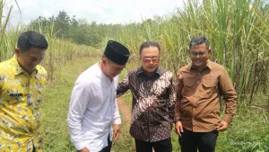 Bupati Kuningan Tinjau Lahan Untuk Sekolah Rakyat 1