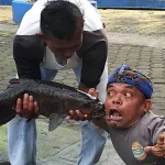 Ikan Dewa Cibulan