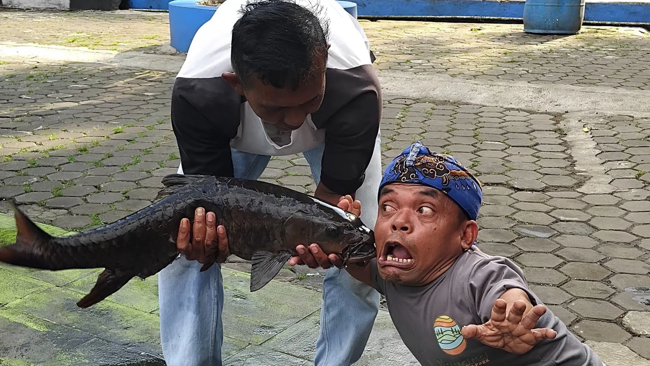 Ikan Dewa Cibulan