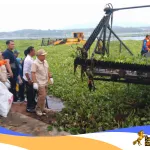 Waduk Darma Penuh Eceng Gondok,Penikmat Ke Untungan Di Waduk Darma Harus Ikut Pembersihan
