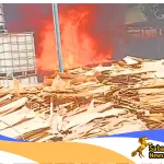 Api Nyaris Meluas, Damkar Kuningan Berhasil Padamkan Kebakaran di Area PT Kaliaren Jaya