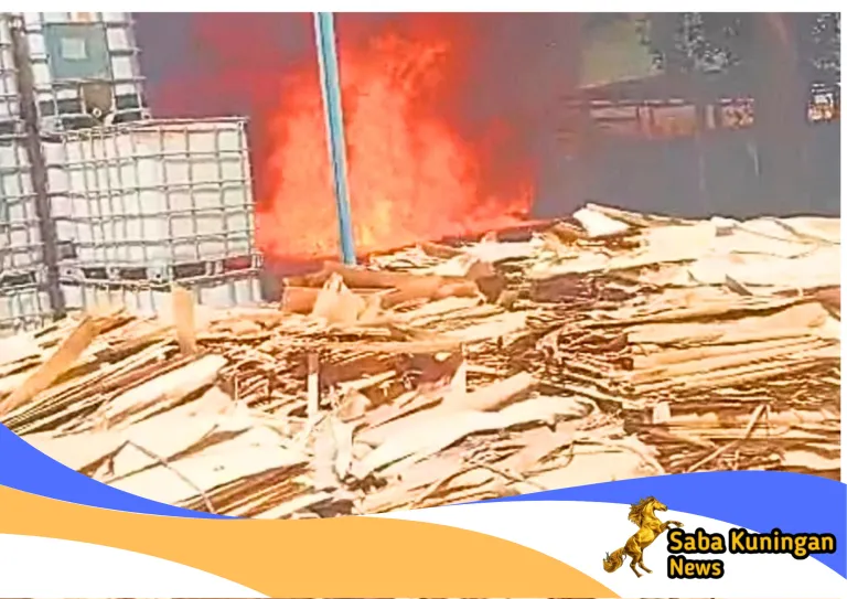 Api Nyaris Meluas, Damkar Kuningan Berhasil Padamkan Kebakaran di Area PT Kaliaren Jaya