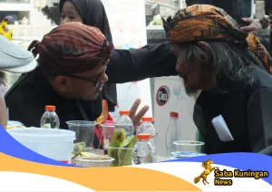Meriah, Milangkala Desa Pasawahan ke-498 Tampilkan Karnaval Budaya dan Ragam Kostum Unik